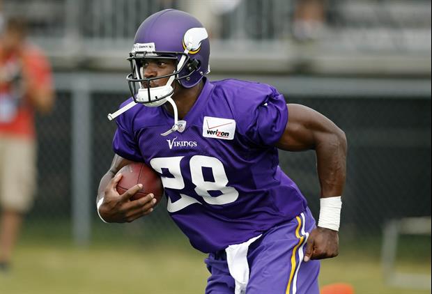 Minnesota Vikings running back Adrian Peterson has been suspended for the remainder of the season.