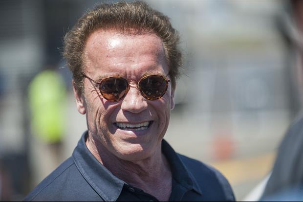 Watch Video of Arnold Schwarzenegger Attacked in South Africa With A Dropkick To The Back