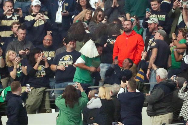 Bald Eagle Goes Rogue During Cotton Bowl National Anthem, Lands On Fan