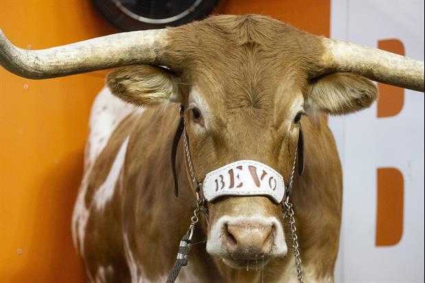 Dead Longhorn With Message On It Was Found At Oklahoma State Fraternity