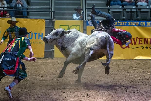 Bull Goes On Wild Rampage In Crowd At Oregon Rodeo, Injures 4 People