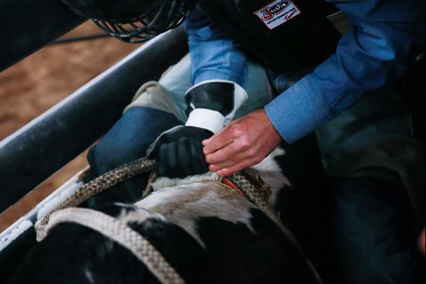 Nothing Is Better Than Watching This Toddler Play With His New Bull Riding Gift