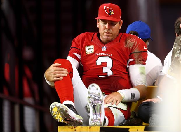 Carson Palmer will miss the rest of the season with a torn ALC.