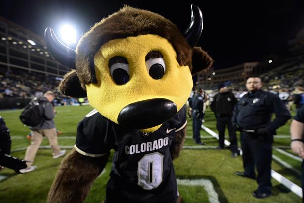 Colorado's Mascot Accidentally Shooting Himself In Crotch & Carted Off Is Pure Gold