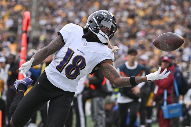 Ravens WR Diontae Johnson Refused Play Last Year In Game Because He Was Too Cold