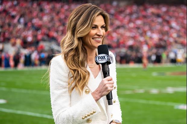 Watch FOX's NFL sideline reporter Erin Andrews Take An Uppercut From Her Dog