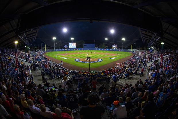 Look At The Outfield Bleachers These Fans Built To Watch Little League Classic