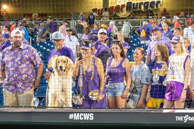 Video: Here Was The LSU Pep Rally For Fans At The College World Series On Thursday