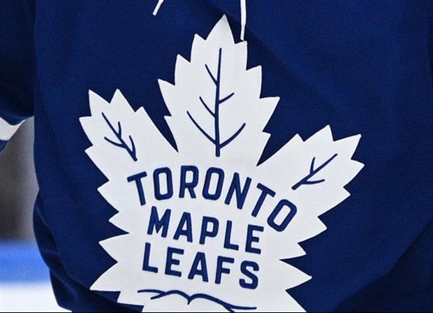 How Does This Maple Leafs Not Get Knocked Out For Throwing Man's Hat On Ice
