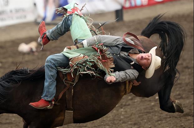 Rodeo Horse Body Slams Its Rider