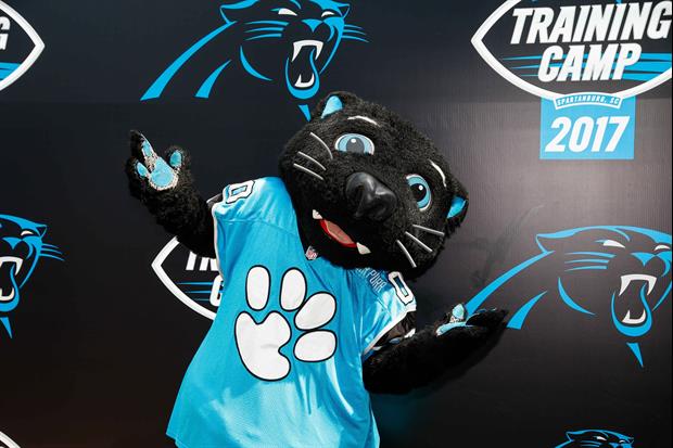 WR Robby Anderson Baffled By Existence of Panthers Mascot 'Sir Purr'