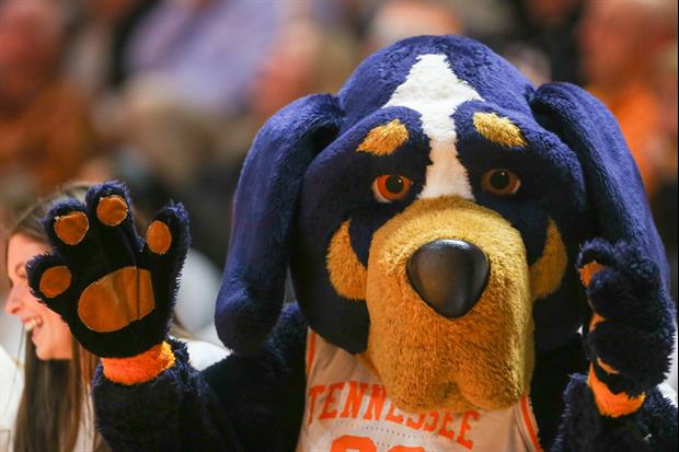 Tennessee's Mascot Flashed Pitcher During NCAA Tournament