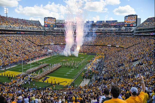 tiger stadium tour