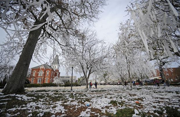 Auburn About To Plant New Trees At Toomer's Corner