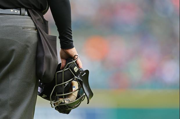 Youth Baseball Umpire Shares Her Story and Pictures Of Troubling Attack Story